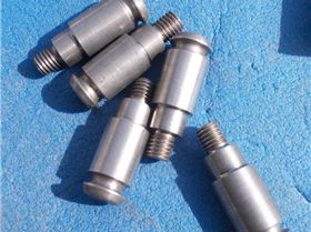 Lechner mast foot pin