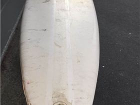 11071132 10205863105609745 7974031655607482464 n