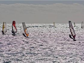 Visit  to Coronation Beach. Oct 07