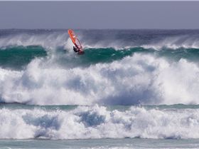 43167772 916810941851808 1293511555324837888 o[1]