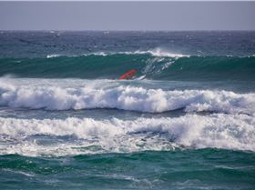 43183249 916809545185281 5569384805411323904 o[1]