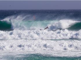 43155775 916812685184967 1071263838323605504 o[1]