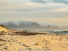 43302767 954797848051266 3735336935686668288 n[1]