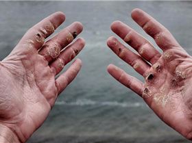 1 mInmhQNs5YUjG4uu6BSJmw