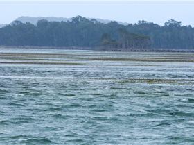 Wallis Lakes GPS event 2018 slalom