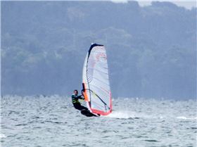 P1310365-2 - Copy (Large)