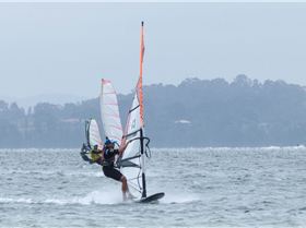 P1310424 - Copy (Large)