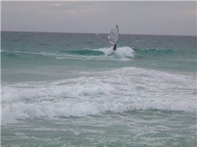 pics for W Miller Ausie Martin and Euro Martin at Loners