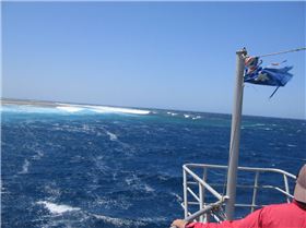 More shots from Abrolhos