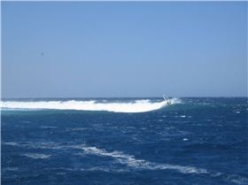 More shots from Abrolhos