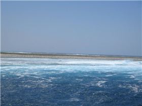 More shots from Abrolhos