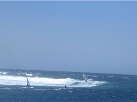 More shots from Abrolhos