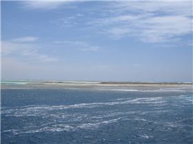 More shots from Abrolhos