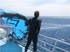 More shots from Abrolhos