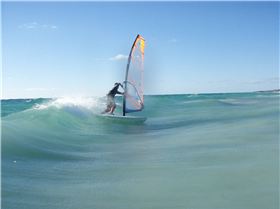 Leech having some fun