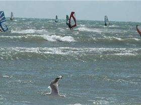Seacliff - best day for a long time and over 2 dozen out