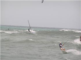 bluejuice  on a bluejuice on some bluejuice