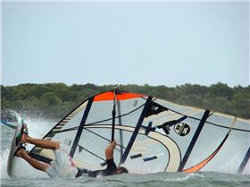 More Shearwater - GoldCoast