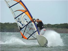 More Shearwater - GoldCoast