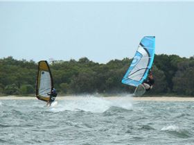 More Shearwater - GoldCoast