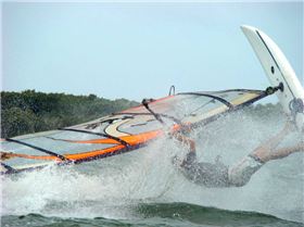 More Shearwater - GoldCoast