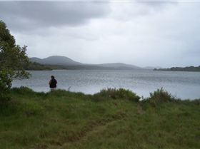 NSW Nth Coast (SP) 2.2km x .03km