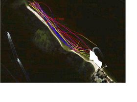 Pt Walter Rock Garden