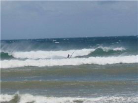 Pungarehu 27th Jan 2008