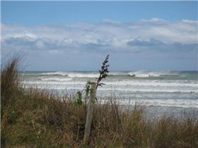 Pungarehu 27th Jan 2008