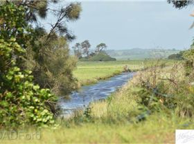 45355320 10157943291444972 7131624080670720000 n