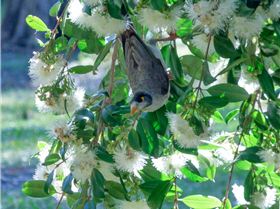 Myall Lakes GPS event  2018