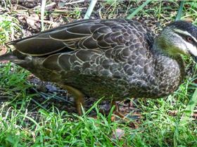 Myall Lakes GPS event  2018