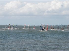 A couple of pics from the Waterloo Cup, Rose Bay, Manly