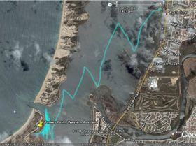 tracks from the downwider today