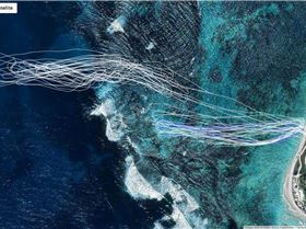 Windsurfer LT One Design