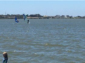 Family & Foil Day 20th Jan