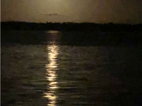 Screenshot 2019-01-22-21-22-22