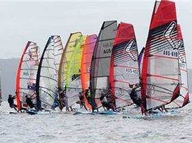 50570692 10156000758447045 1460636433688559616 n