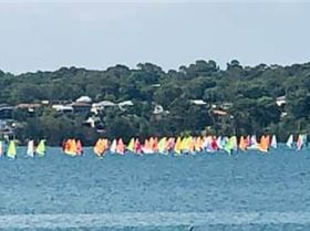 51265820 2049640848454734 3437863119899066368 n