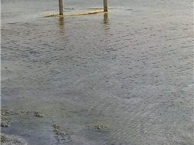 P 20190212 104401[1]