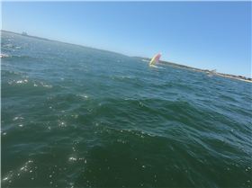 Kurnell Formula and Foil Races