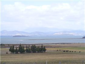 SW wind and small isthmus - possible speed run (short)