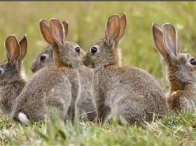 Screenshot 20190322-203944 Chrome