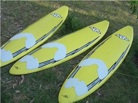 2005 0625balsayellow0008