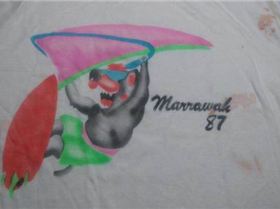 mms img19823769880[1]