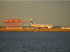 Light Wind Northerly