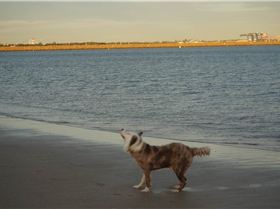 Light Wind Northerly