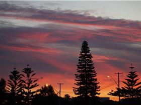 Light Wind Northerly