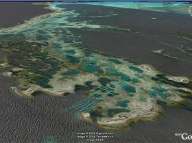 lonely.... isolated.... lots of coral.....lots of biteys...awesome!