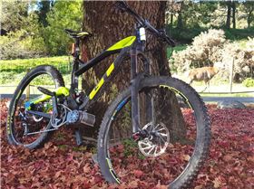 FB IMG 1558235967665